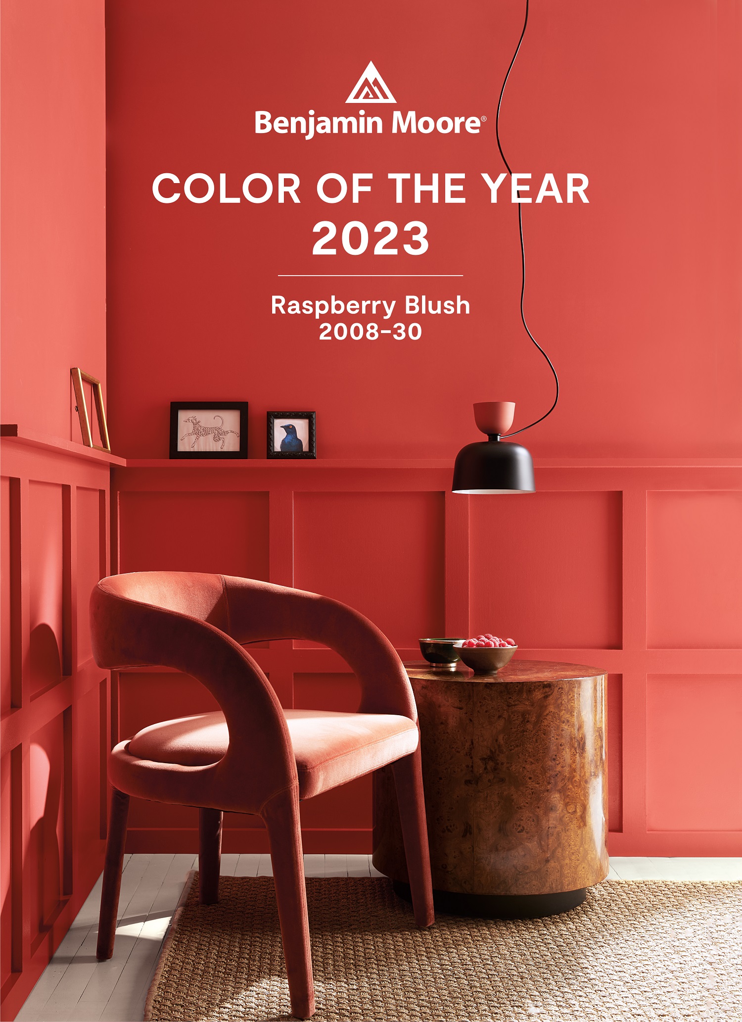 Benjamin Moore Color of the Year Raspberry Blush 2008 30