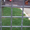 DSC00907