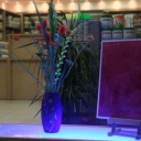 tetraluxstores- kalamaria- thessaloniki-xrwmatopolio-panorama-pylaia-xarilaou-kentro thessalonikis-toumpa-texnotropies