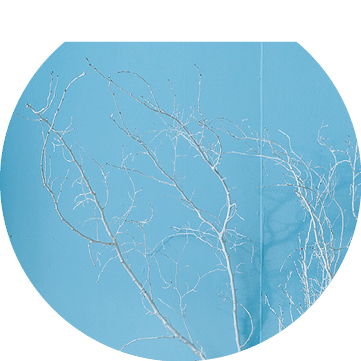 blue room marine concept