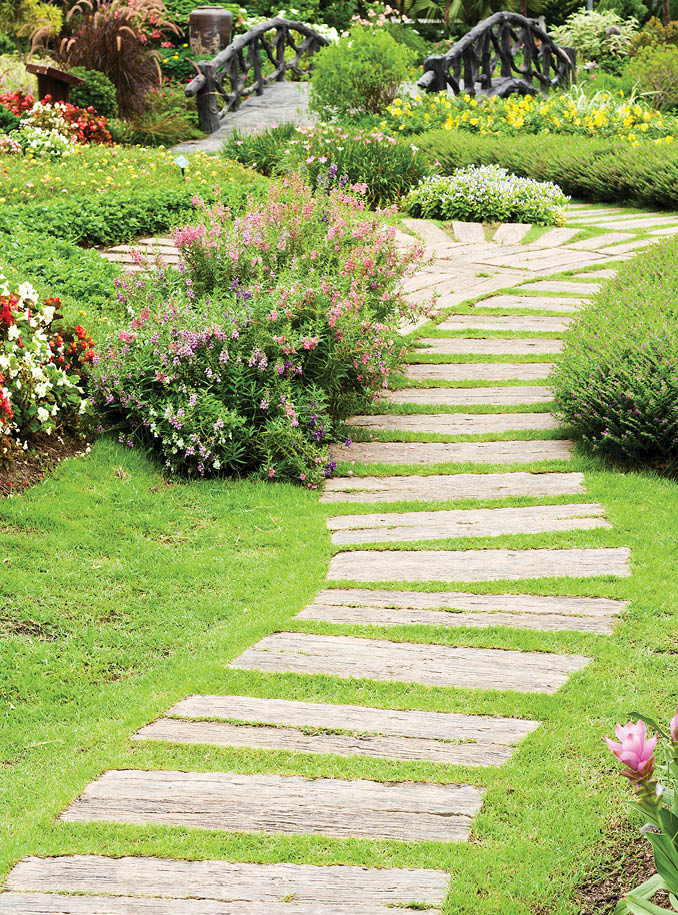 Landscaping in the garden  The path in the garden 