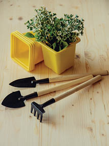 home gardening, planting seedlings, mini tools-rakes, shovels, pots and seedlings
