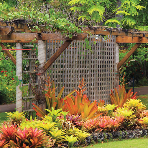 Beautiful, manicured tropical garden with flowering plants and green lawn 