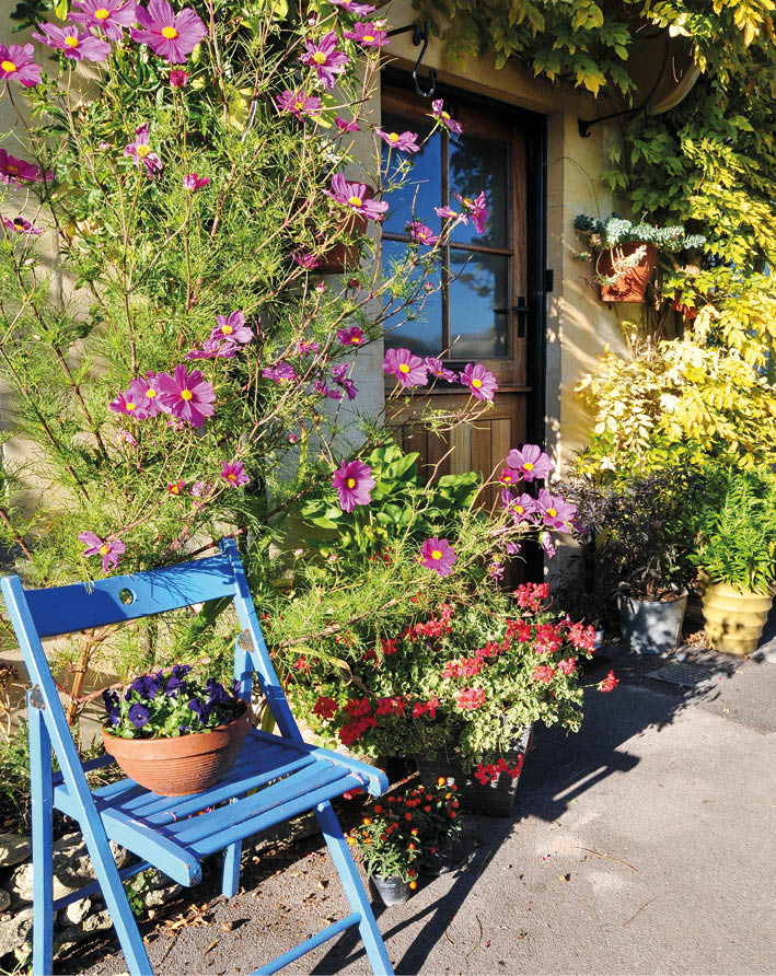 View of a small garden outside a house with a with flowers in bloom and garden furniture