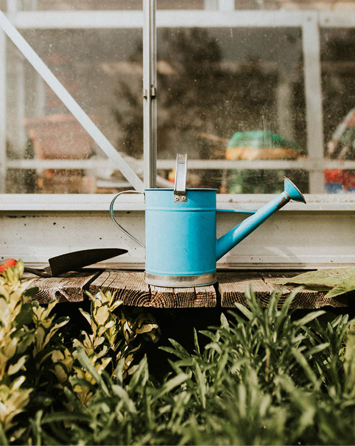 Blue watering can on rustic wooden table