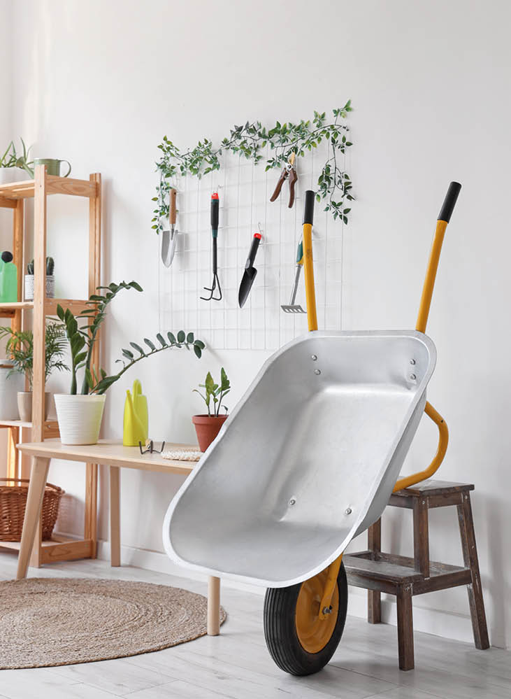 Set of gardening tools and plants near light wall