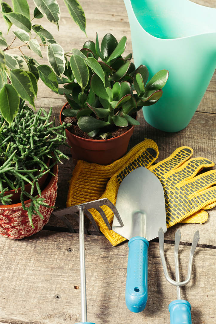 composition of garden tools
