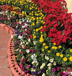 The English translation for is arranging a small garden or small-scale landscaping, which focuses on maximizing the beauty and functionality of limited outdoor or indoor spaces. Even with a tiny area like a balcony or a small backyard corner, thoughtful design can transform it into a refreshing green sanctuary that enhances your home's overall atmosphere.