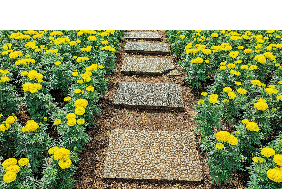 A path made of cast stone that passes between flower plants