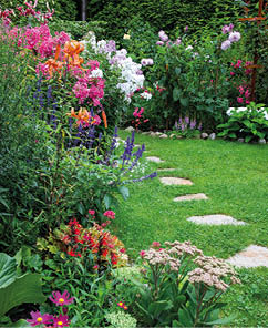 Garden with blooming flowers in the middle of the summer