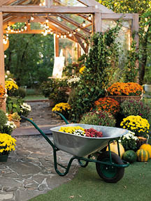 Autumn garden scene with a wheelbarrow filled with flowers, surrounded by colorful plants, near a wooden greenhouse