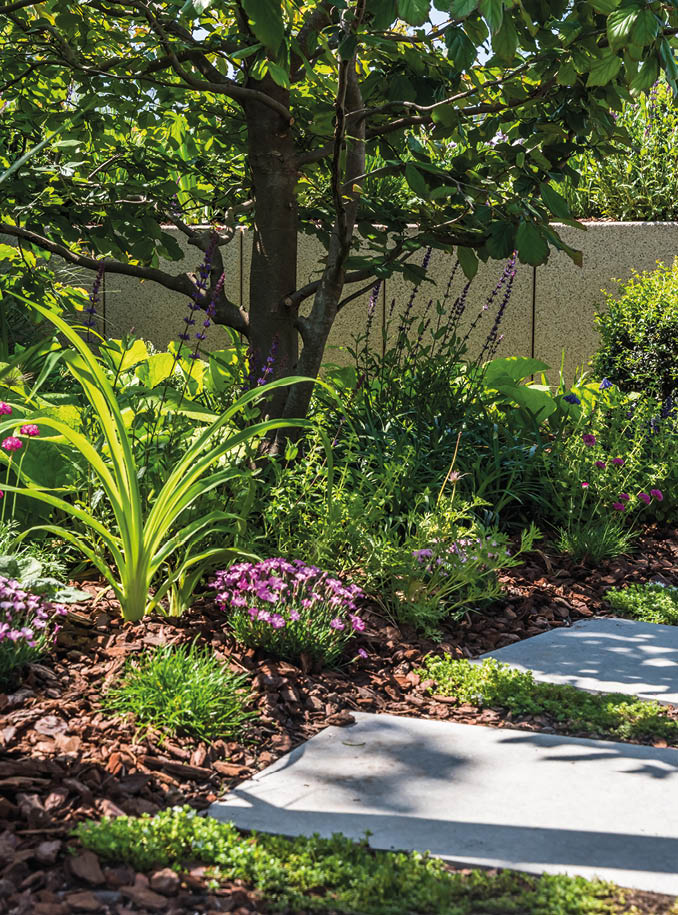 Path with large stone slabs through a beautifully planted garden, vertical