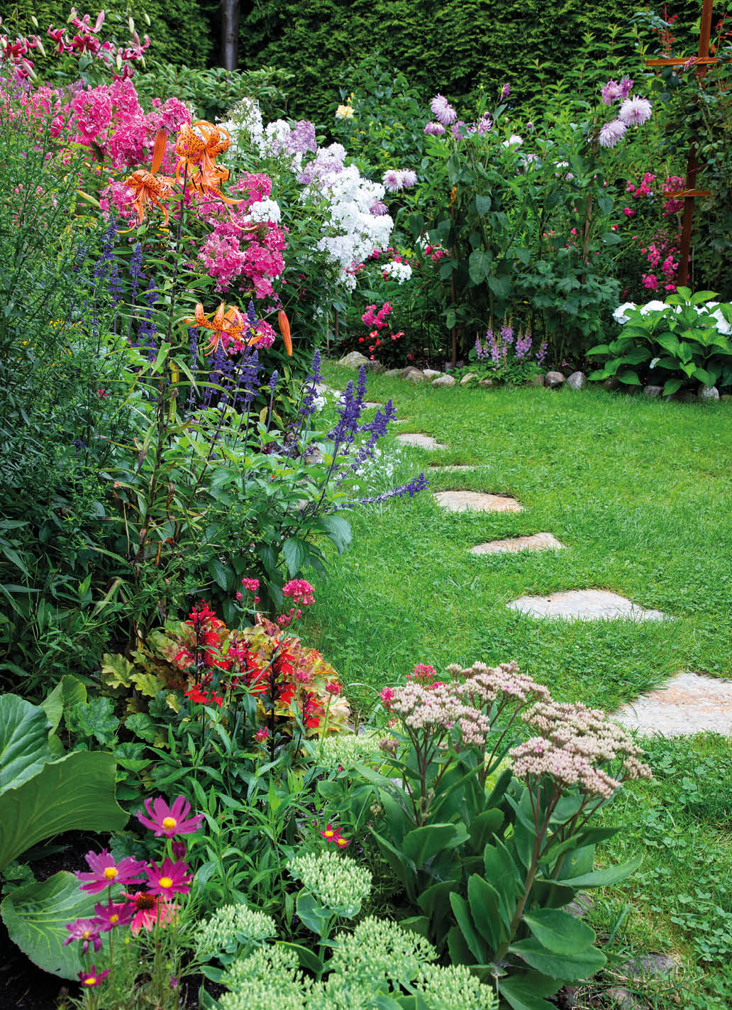 Garden with blooming flowers in the middle of the summer