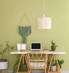 Interior of office with workplace and green houseplants