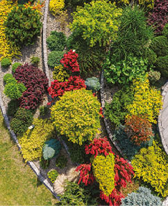 A beautifully arranged garden features a variety of colorful plants and shrubs, creating an eye-catching landscape. The vibrant foliage demonstrates careful landscaping.
