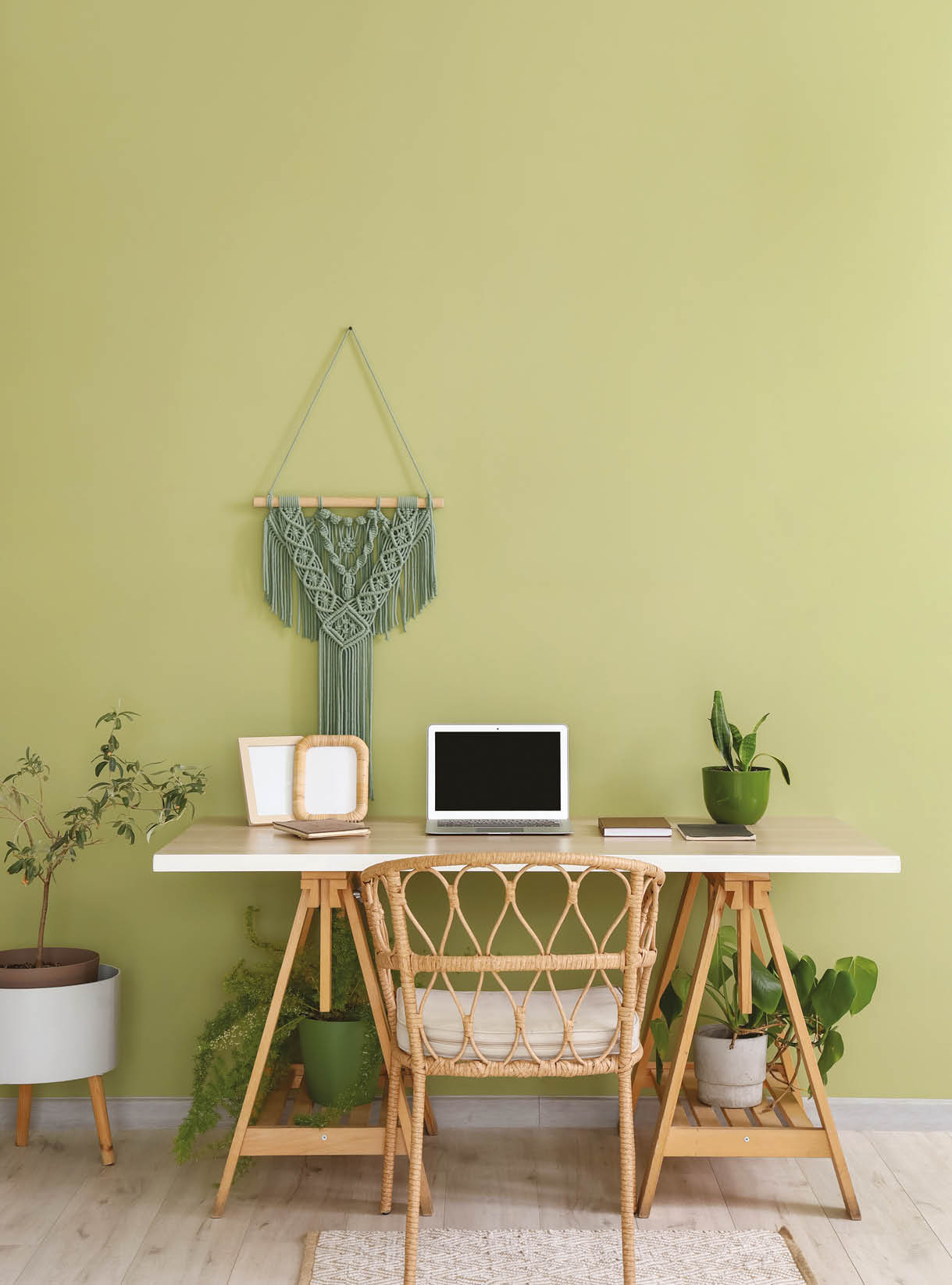 Interior of office with workplace and green houseplants