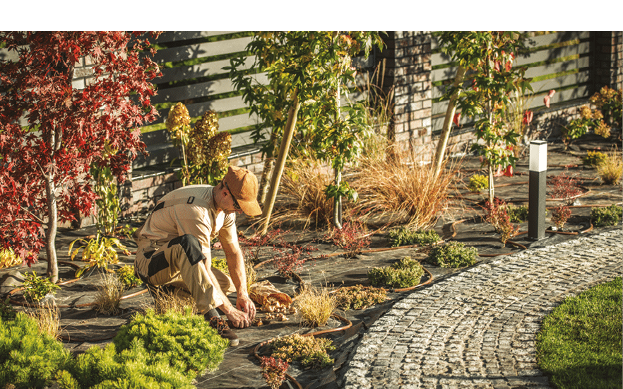 A gardener works on planting various small plants in a yard with landscaping features in clear weather.