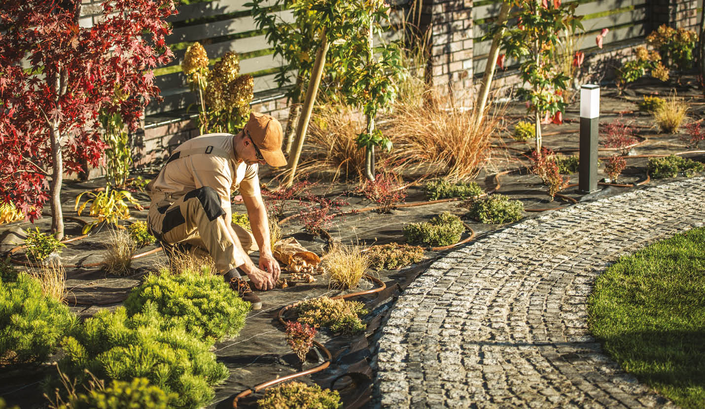 A gardener works on planting various small plants in a yard with landscaping features in clear weather.